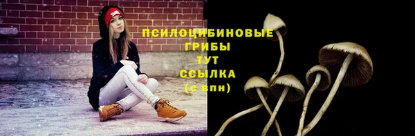 PSILOCYBIN Абдулино