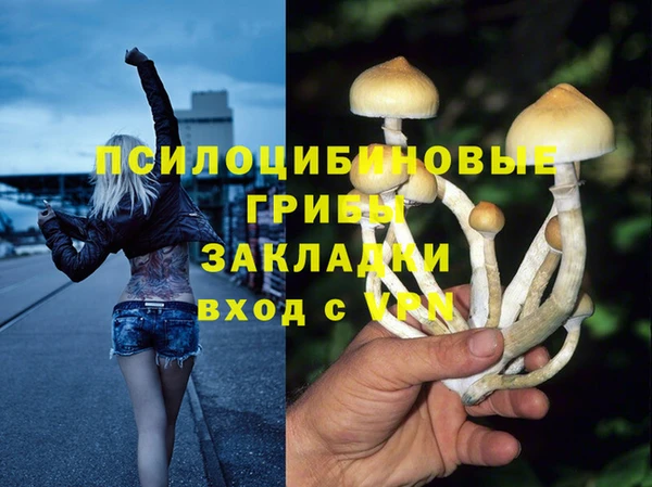 PSILOCYBIN Абдулино