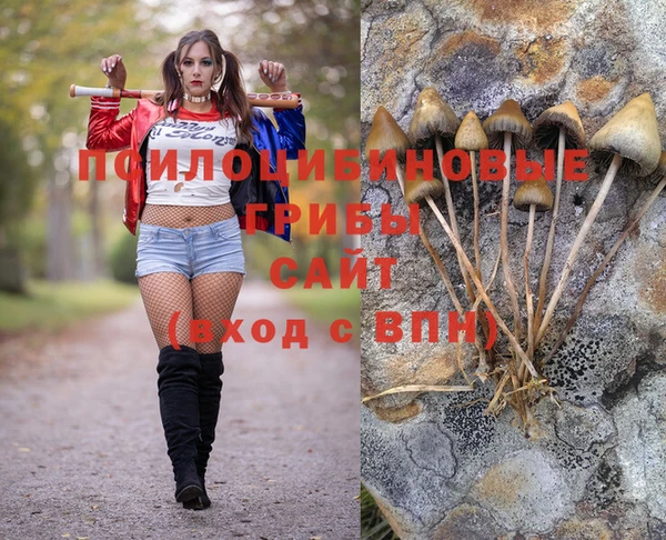 спайс Абаза