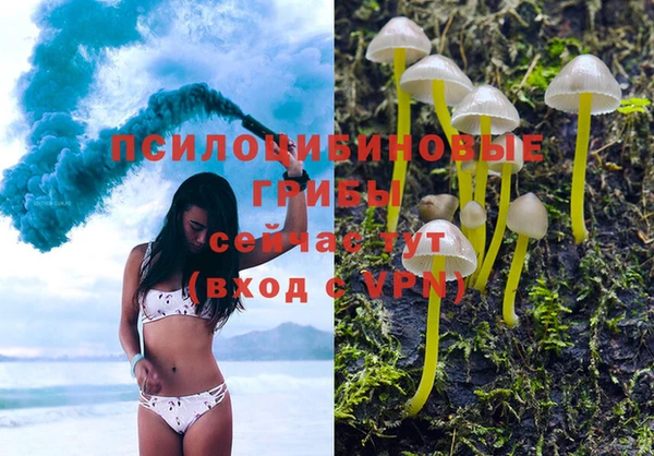 ECSTASY Дубна