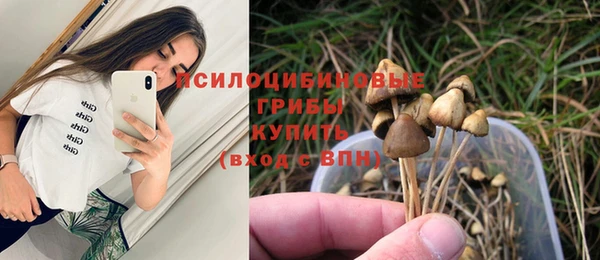 спайс Абаза