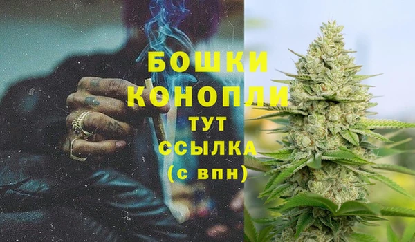СК Россошь