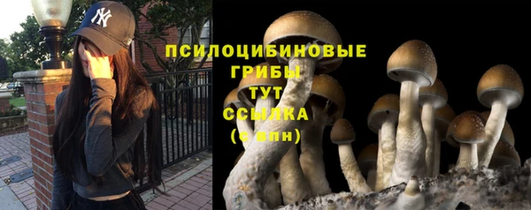 PSILOCYBIN Абдулино